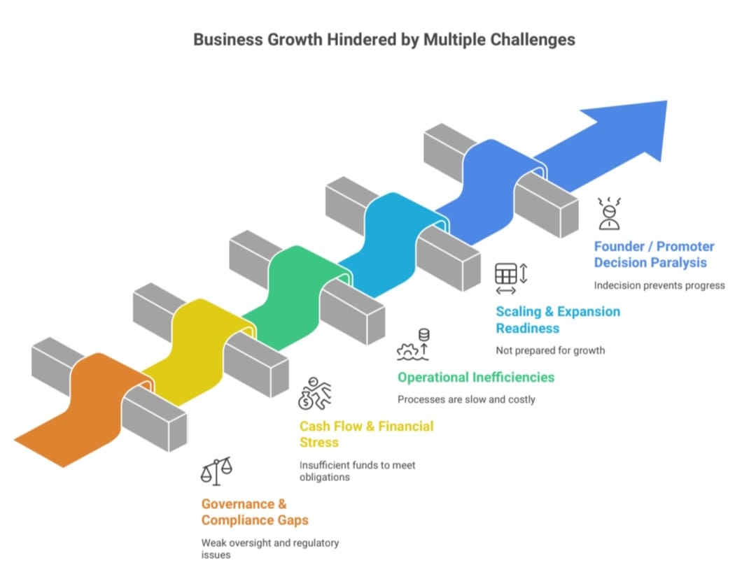 Why Even Promising Businesses Face Growth Barriers
